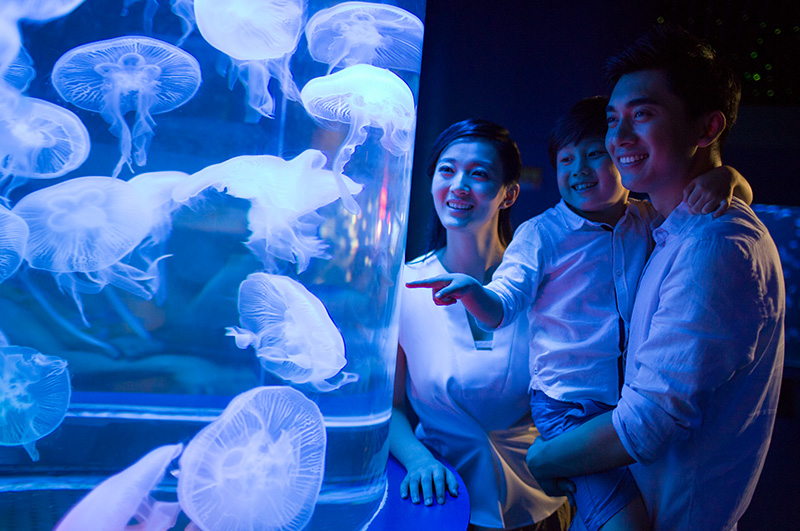 Aquarium